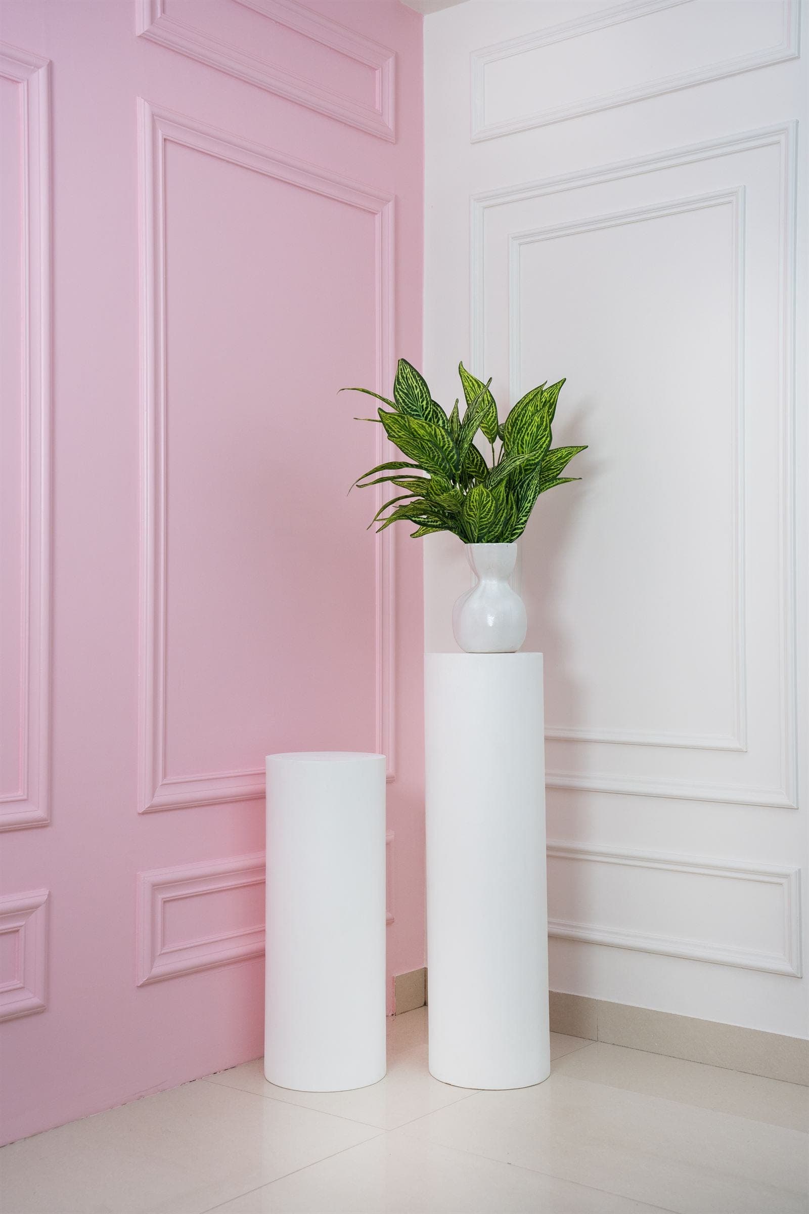 Versatile Backdrops
